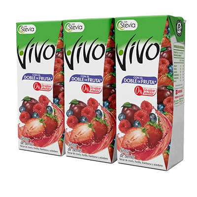 Jugo Nectar Vivo Berries 190ml Pack 3